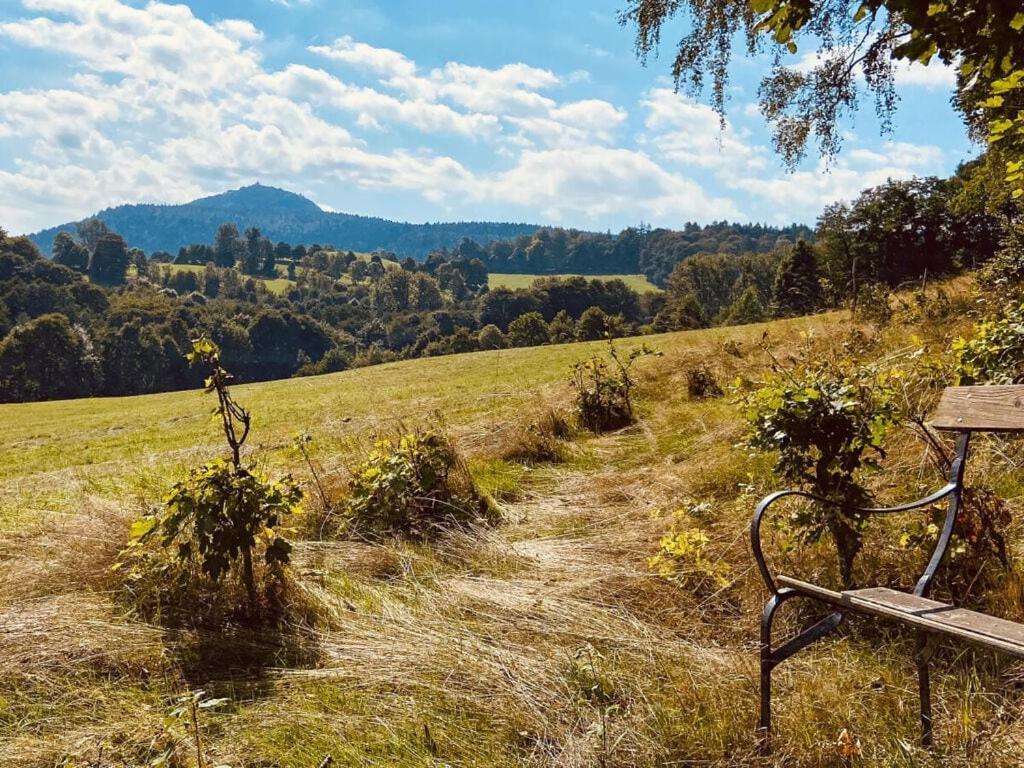 Holiday Home Wiesenhaeusel Großschönau Eksteriør billede